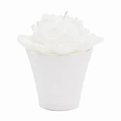 Candle Rose, White