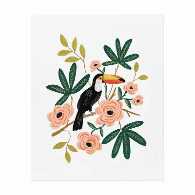 Plansch, Toucan