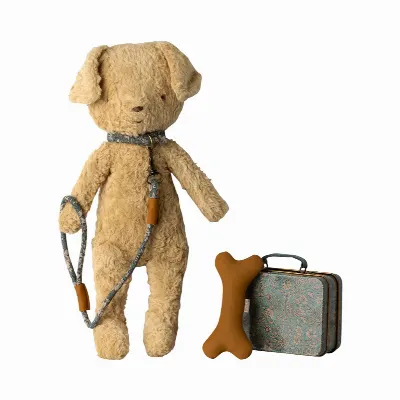 Puppy accessories - Blue