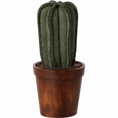 Flower pot with cactus