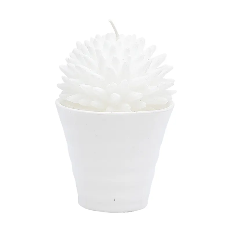 Candle Cactus, White