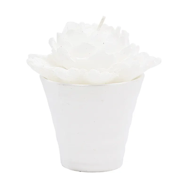 Candle Rose, White