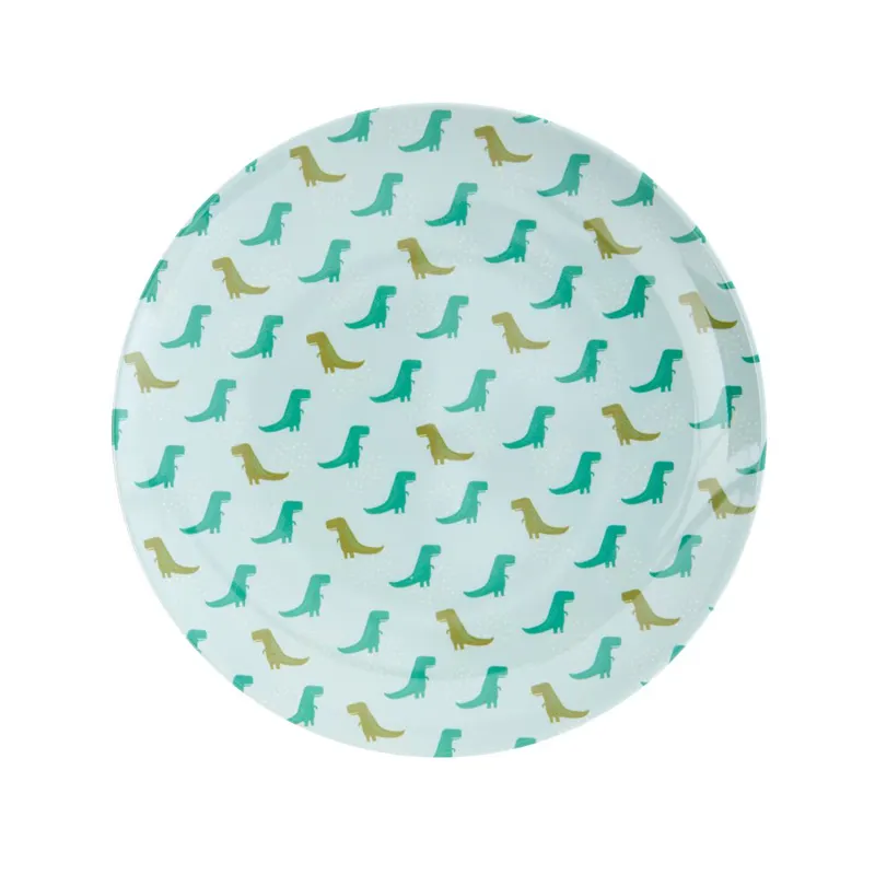Melamine kids lunch plate with Dino print