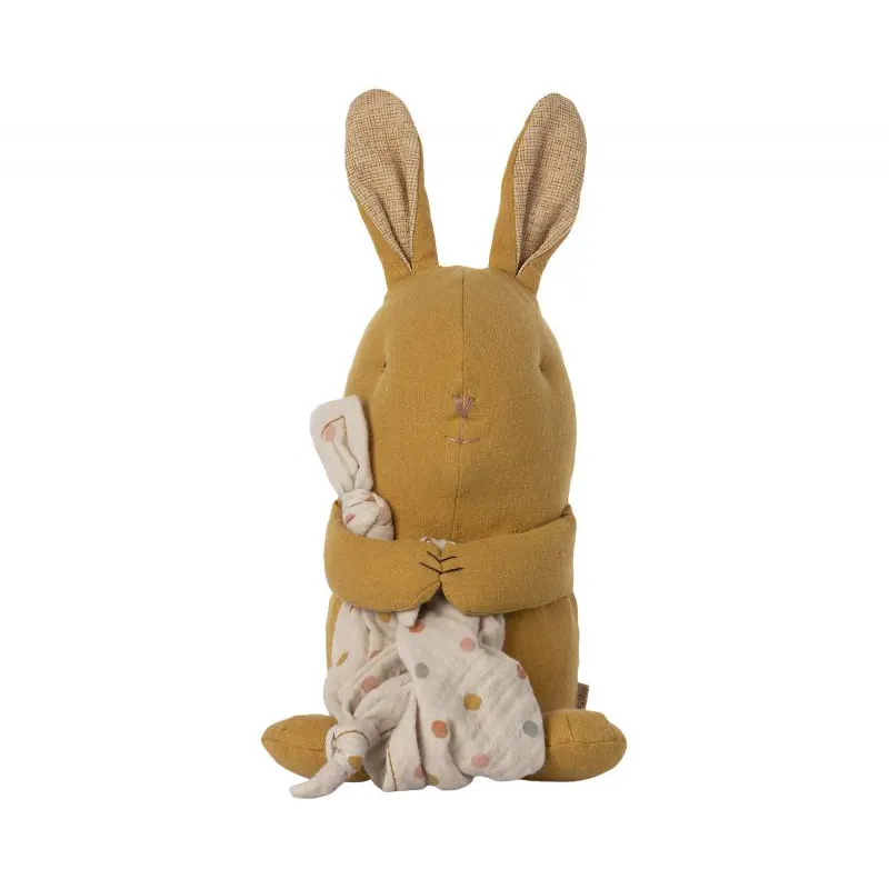 Lullaby friends, Bunny