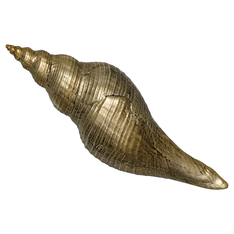 Decoration shell No2