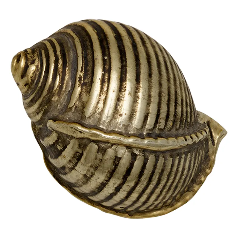 Decoration shell No1